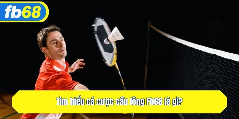 Tìm hiểu cá cược cầu lông Fb68 là gì?
